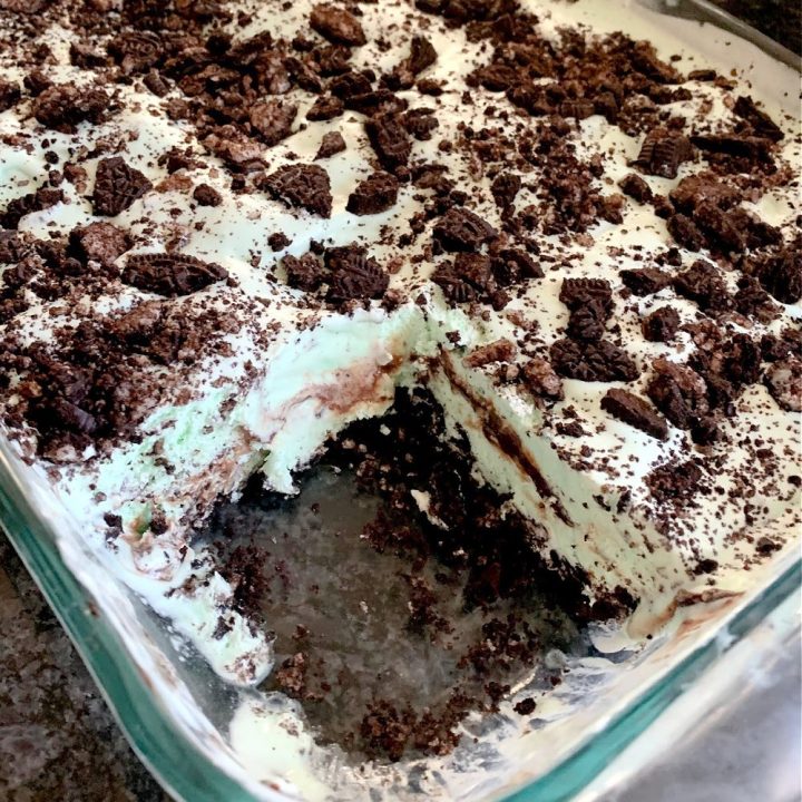 Chocolate Chip Mint Ice Cream Dessert with Oreo Crust and Hot Fudge