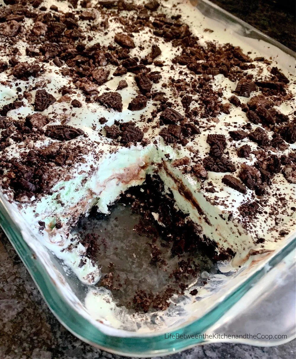 Chocolate Chip Mint Ice Cream Dessert with Oreo Crust and Hot Fudge