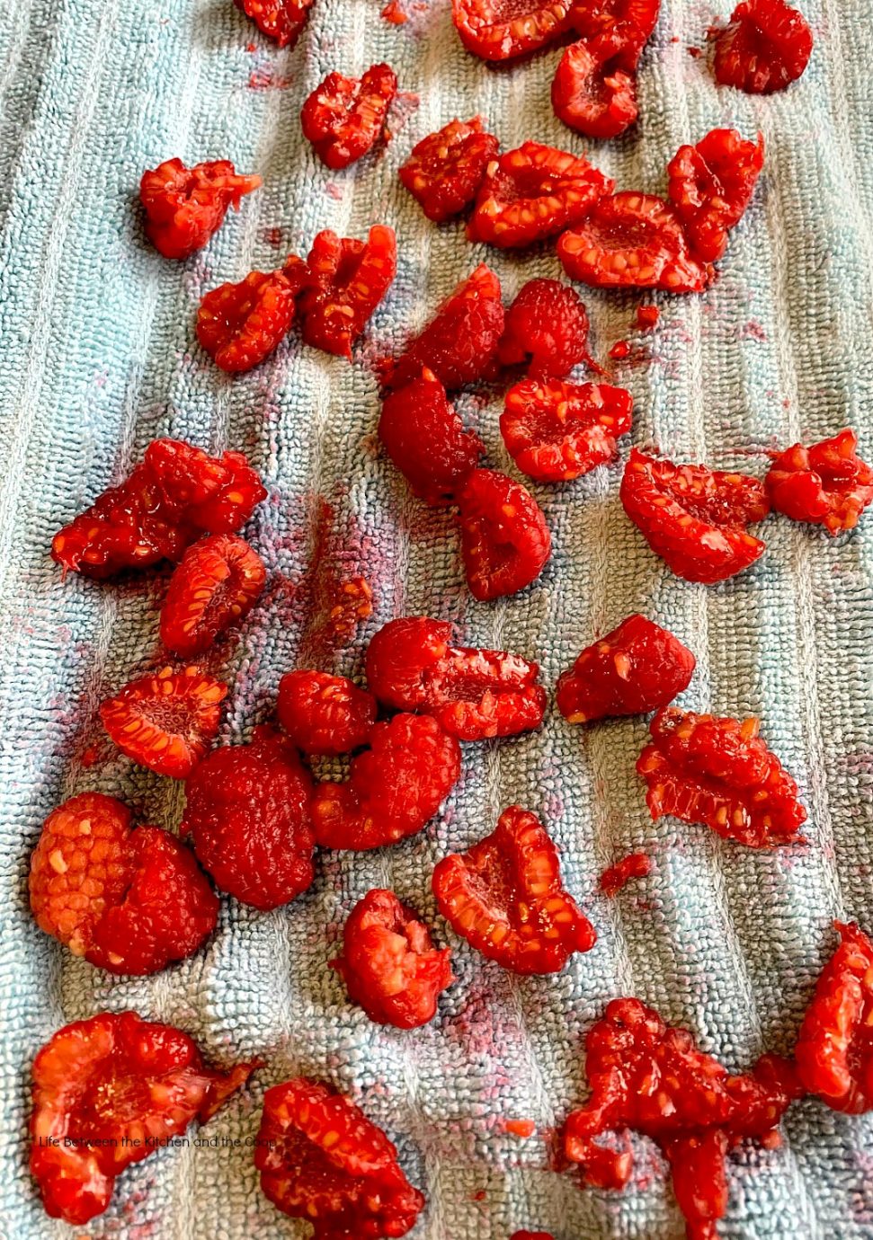 How to Make Dehydrated Raspberries for Food Storage