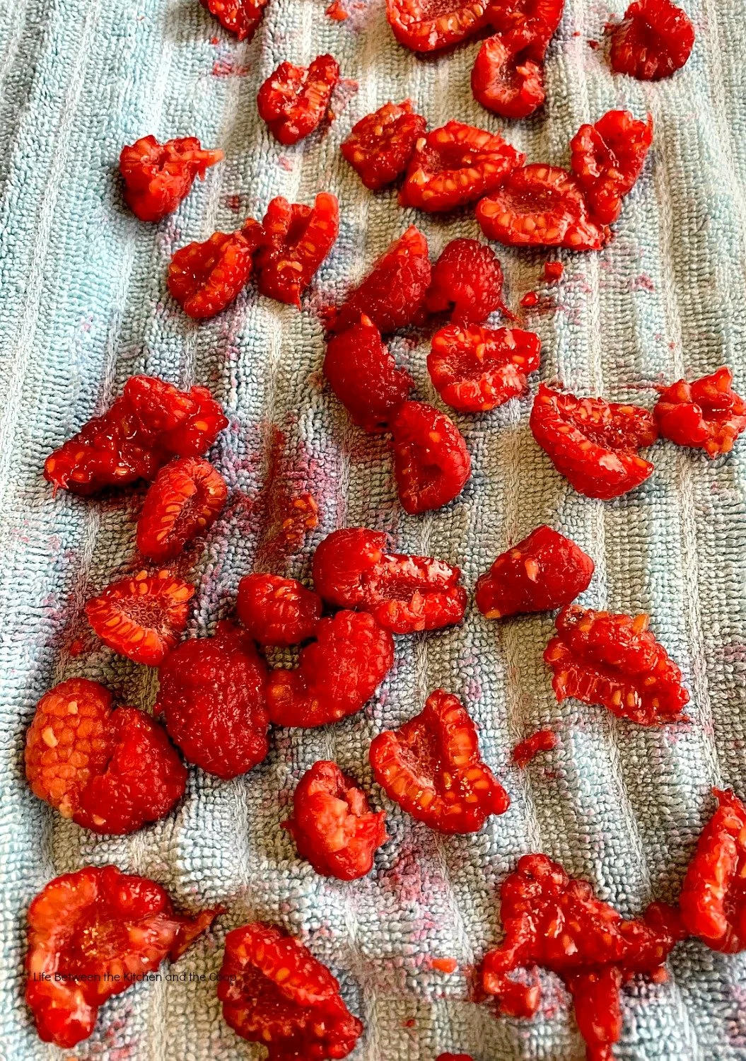 dehydrated raspberries