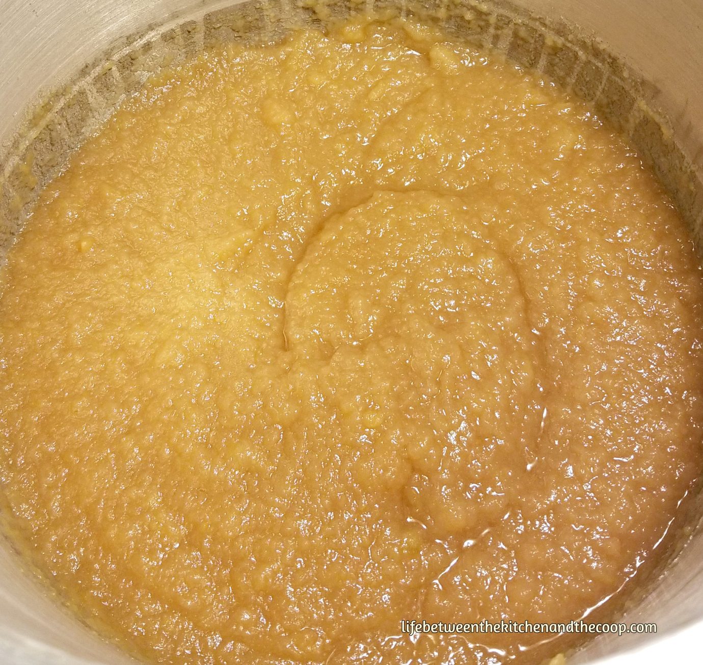 homemade applesauce