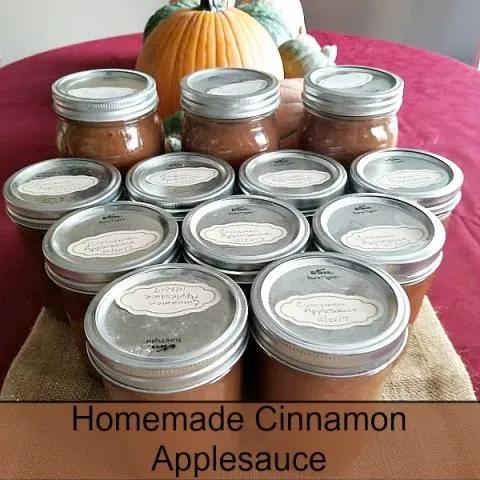 homemade cinnamon Applesauce