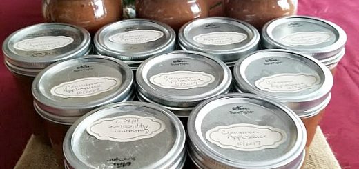 homemade cinnamon Applesauce