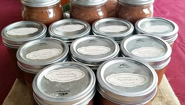 homemade cinnamon Applesauce