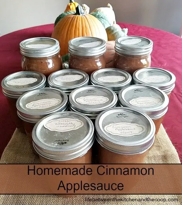 homemade cinnamon Applesauce