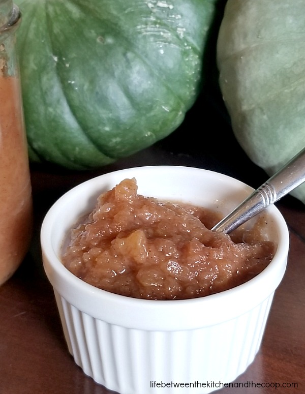 homemade cinnamon applesauce