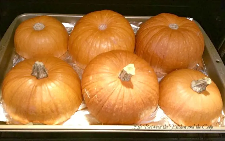 homemade pumpkin puree