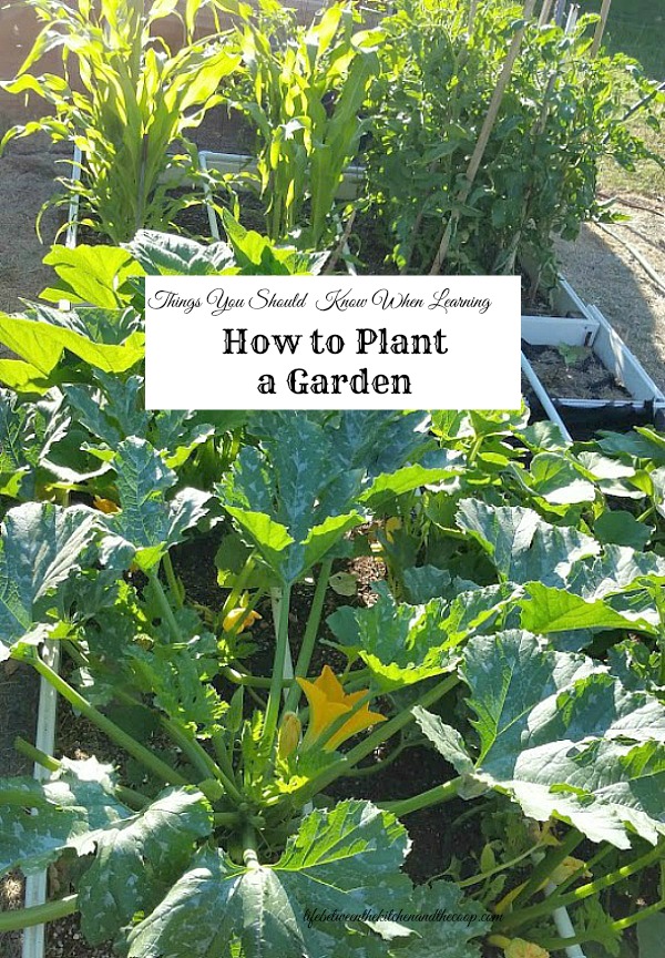 how to plant a garden