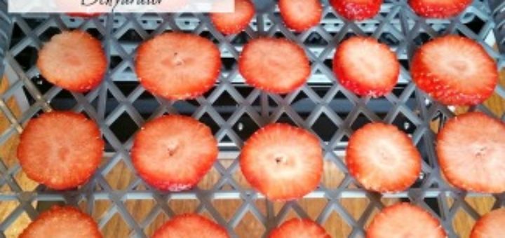 how to preserve strawberries