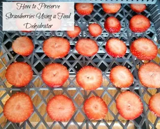 how to preserve strawberries