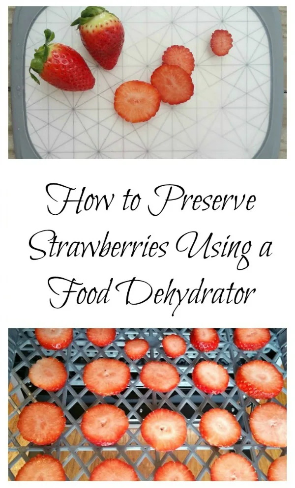 dehydrate strawberries