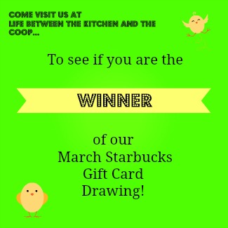 Starbucks Gift Card winner