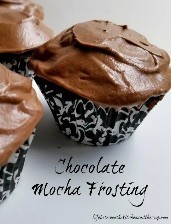chocolate mocha frosting