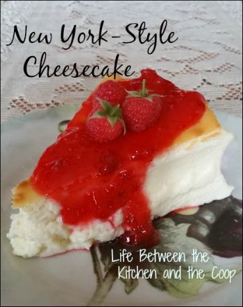 dessert, cheesecake, New York-style cheesecake