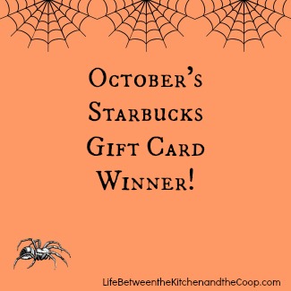 gift card giveaway