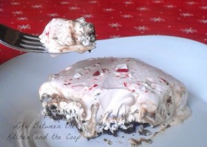 Christmas peppermint ice cream dessert