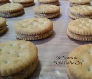 almond bark peanut butter ritz crackers