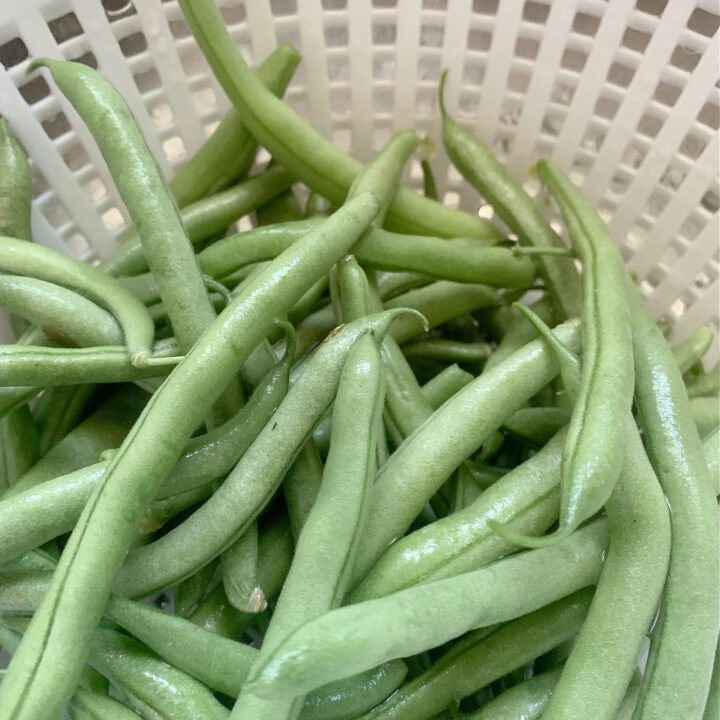 Preserving green beans in the freezer for food storage