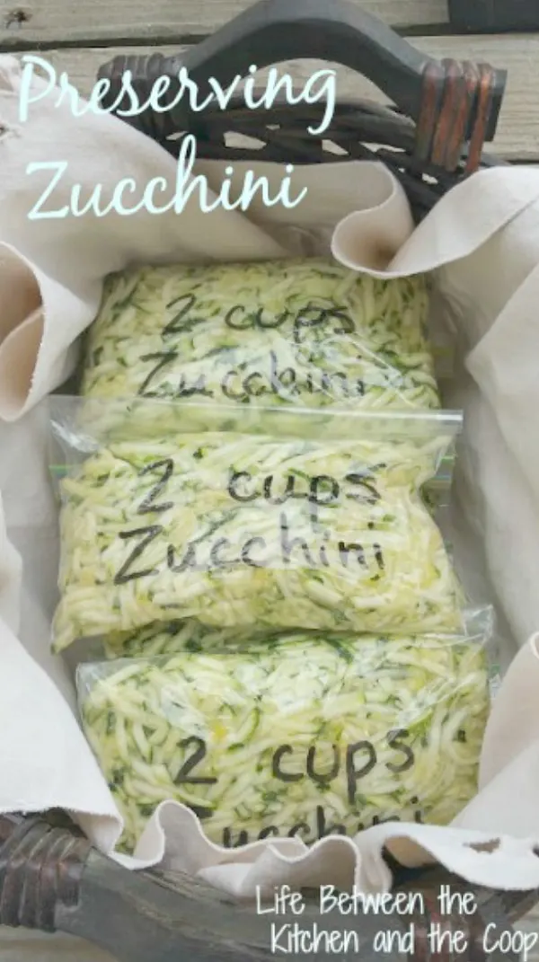 zucchini recipes