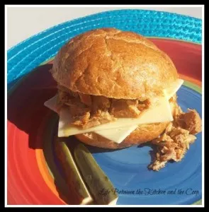 pulled pork, barbacoa, sandwich, slow cooker