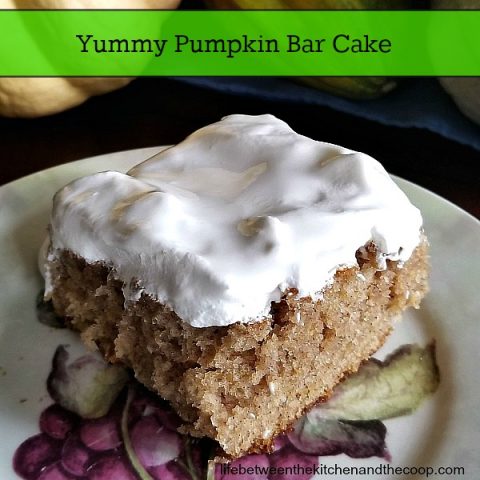 pumpkin bar