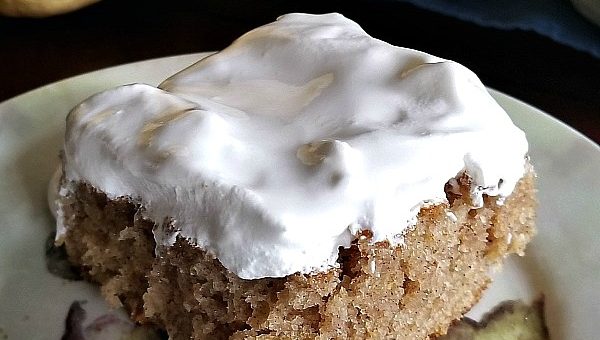 pumpkin bar