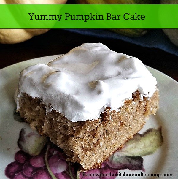 pumpkin bar