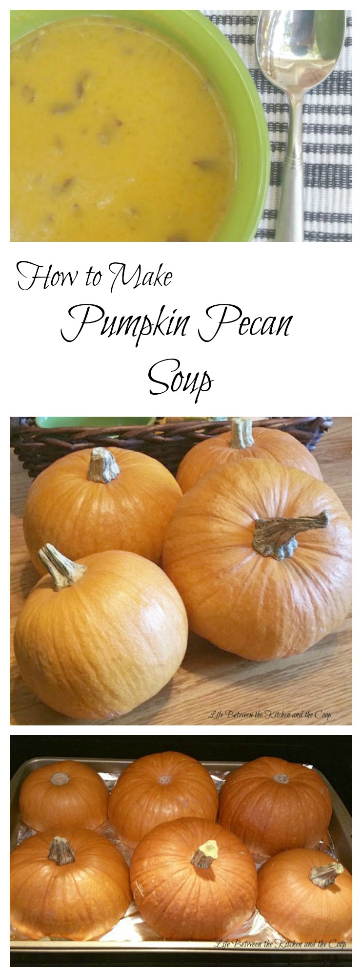 pumpkin pecan soup