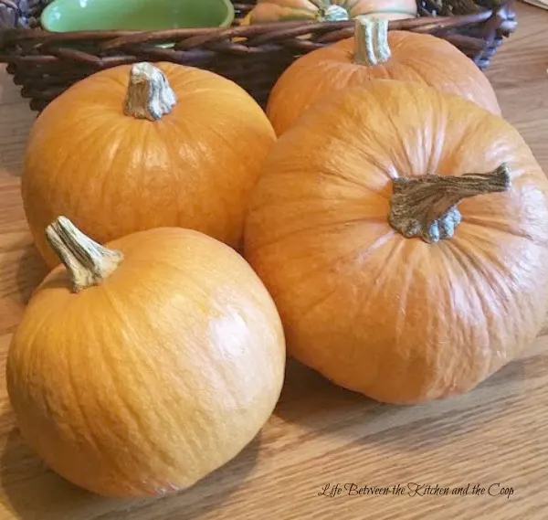 pumpkin pecan soup