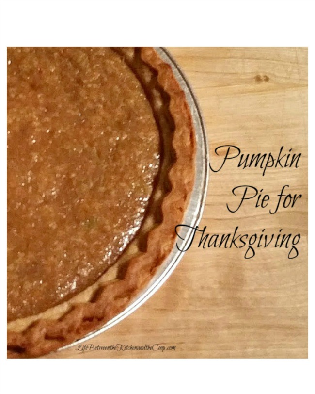 Thanksgiving dessert pie