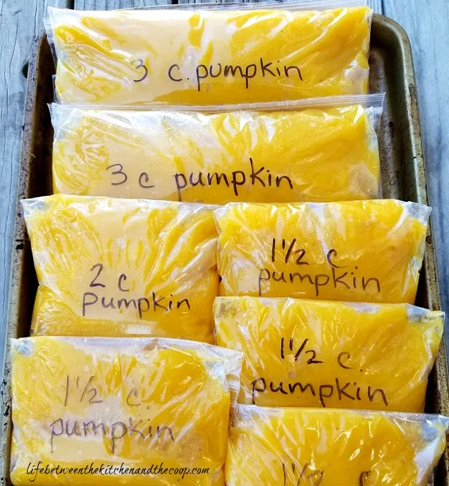 homemade pumpkin puree