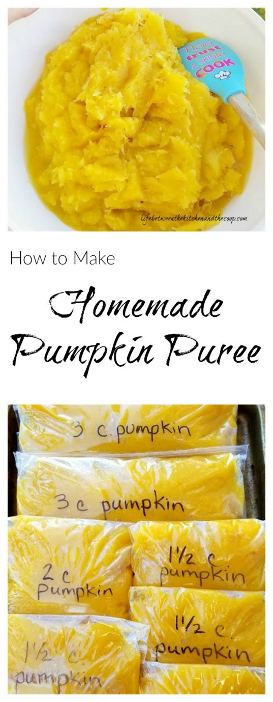 homemade pumpkin puree