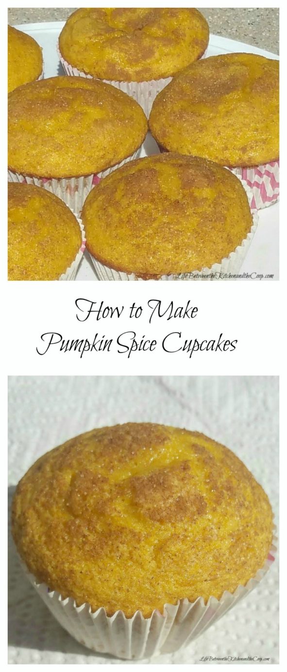 pumpkin spice cupcakes