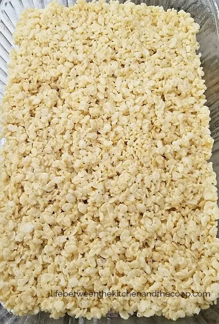 rice krispie treats