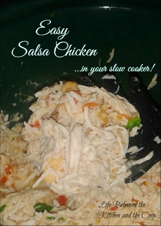 slow cooker, slow cooker recipes, mexican food, chicken, taco