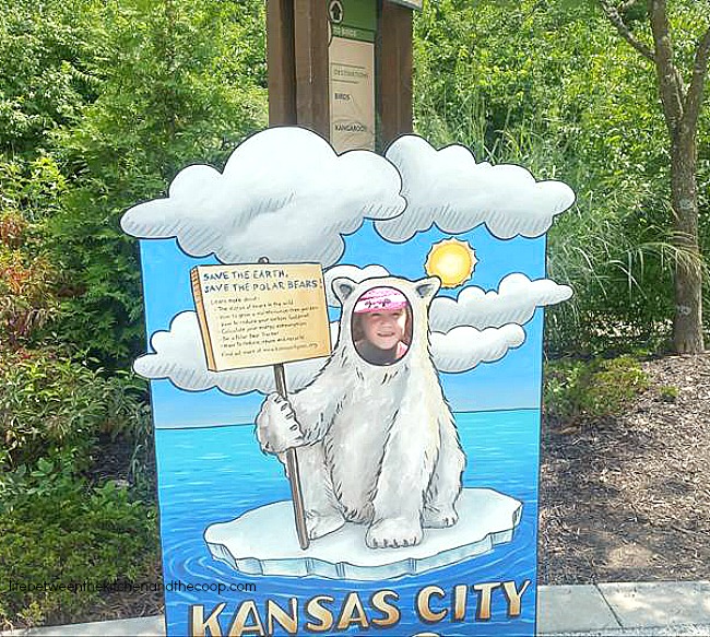 kansas city zoo