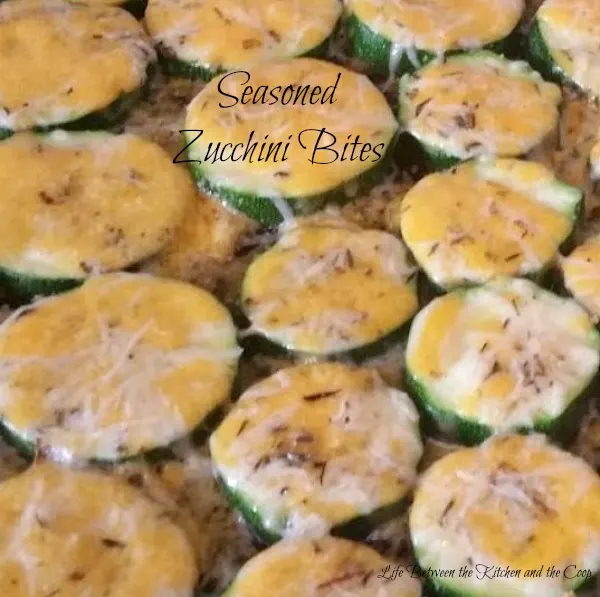 zucchini recipes