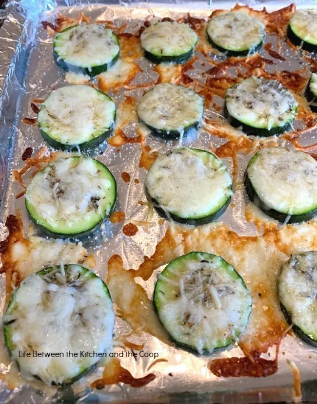 seasoned zucchini bites appetizer