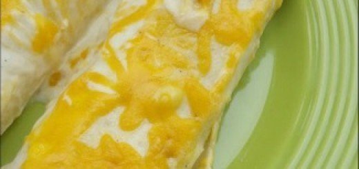 cheesy chicken enchiladas