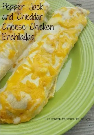 pepper jack cheddar cheese chicken enchiladas