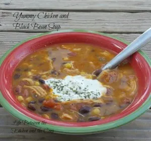 yummy chicken and black bean soup