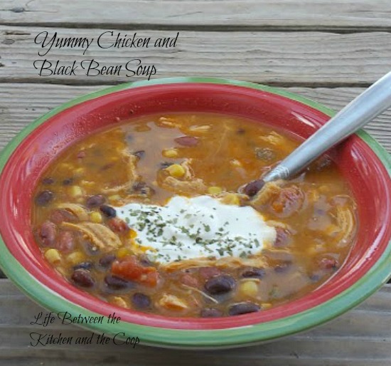 yummy chicken black bean soup