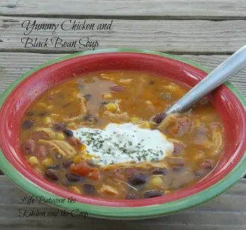 yummy chicken and black bean soup