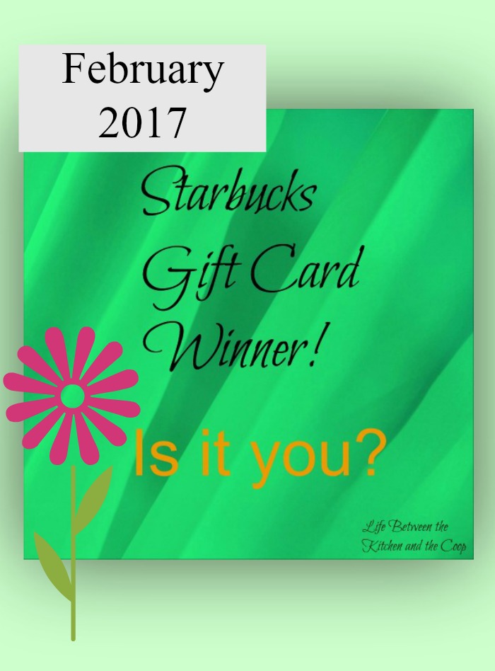 starbucks gift card winner february 2017
