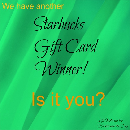 starbucks gift card winner february 2017