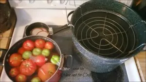 canning, making salsa