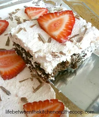 strawberry brownies