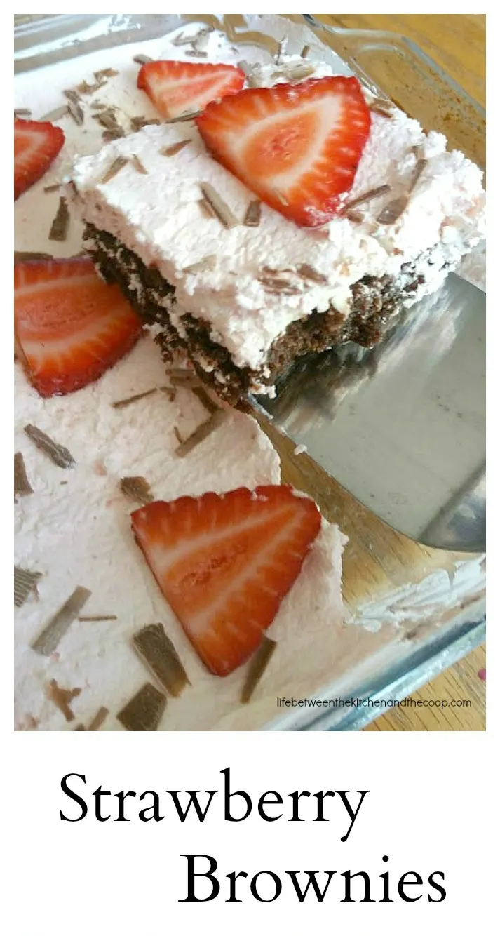 strawberry brownies