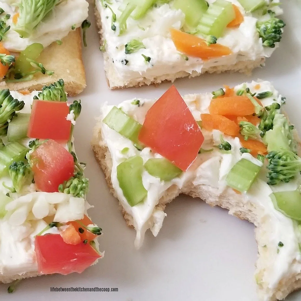 veggie squares bite 