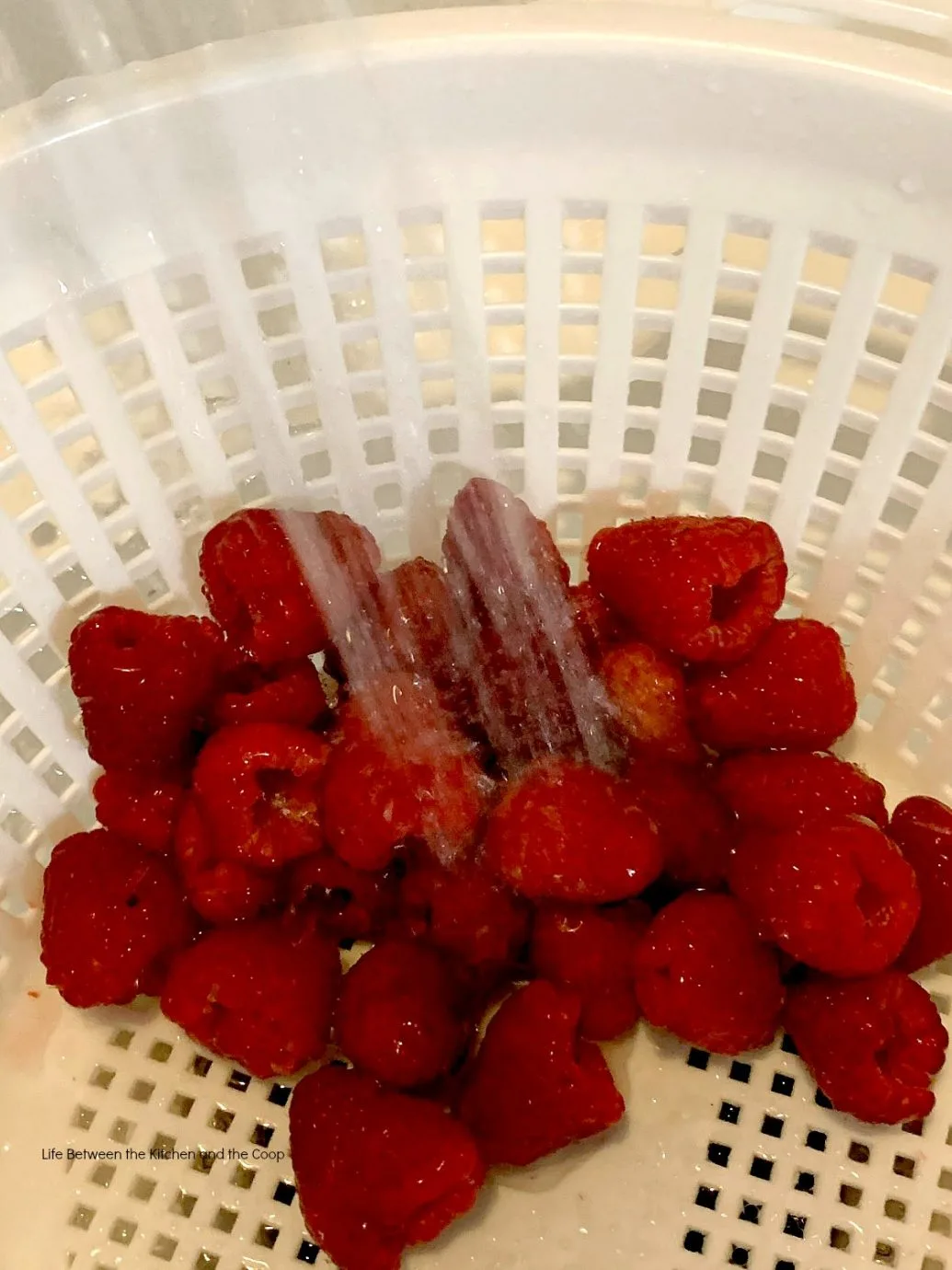 dehydrated raspberries